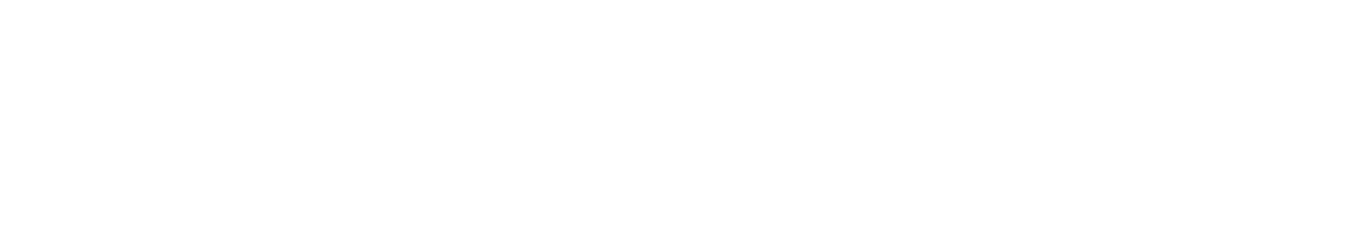 voyn text logo footer